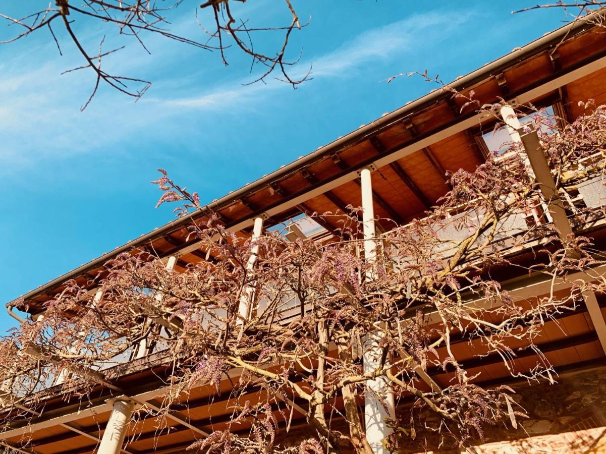 La Fucinaia Pet Friendly B&B Campiglia Marittima Exterior foto